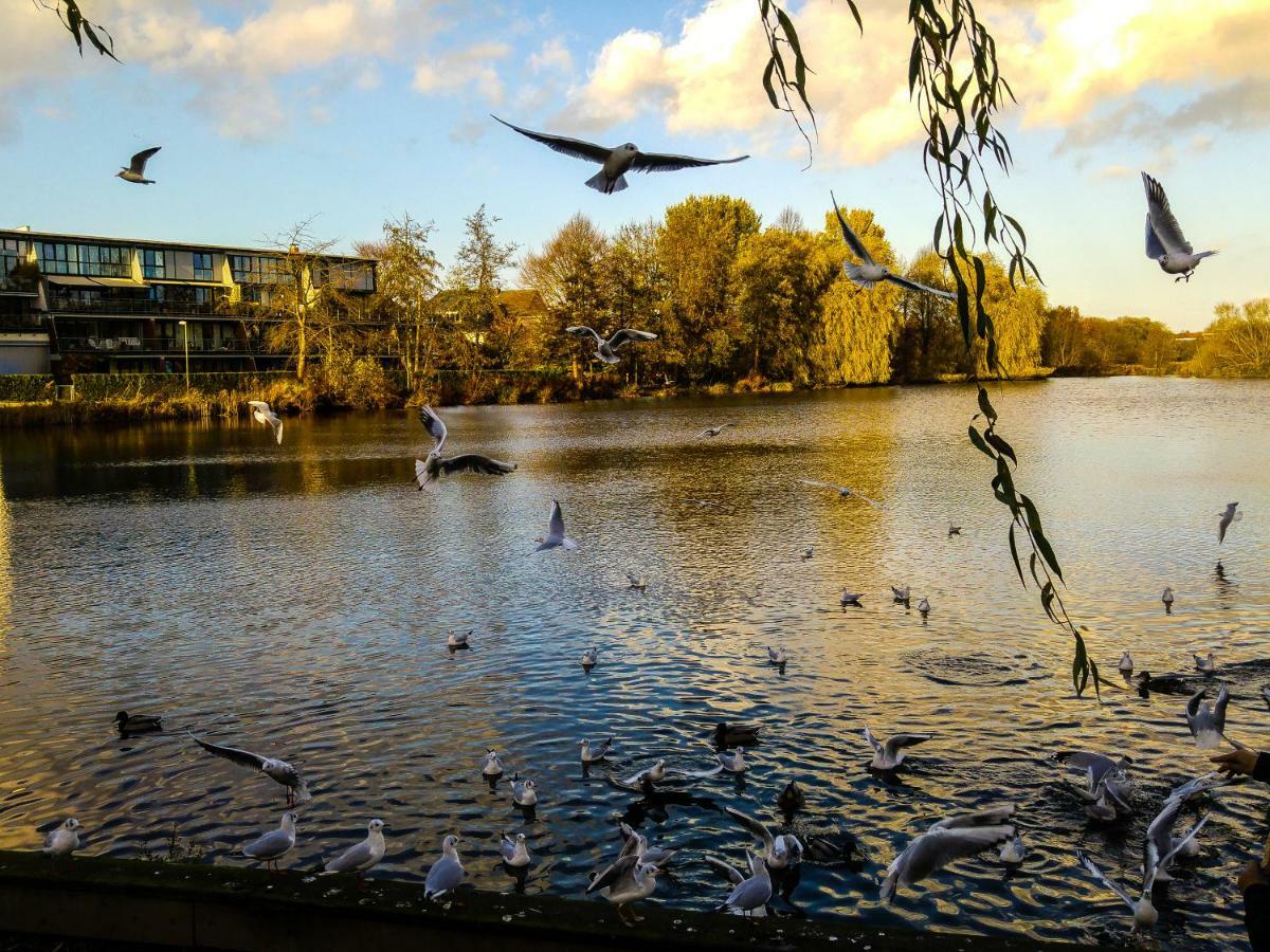 Elbquartier | Ferienwohnung In Wedel Bagian luar foto